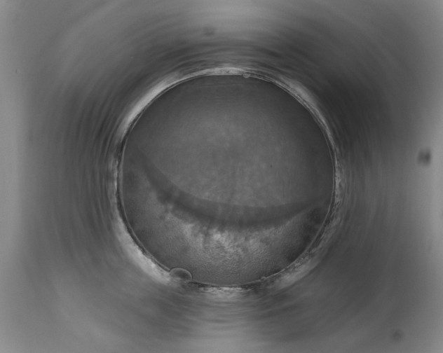 X0000115450859200911181545