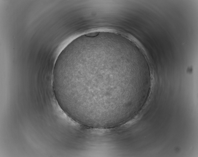 X0000115450860200911181545