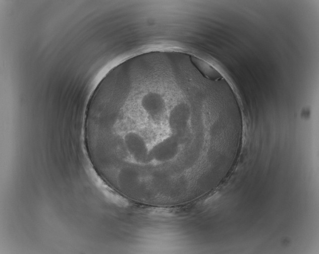 X0000115450861200911181545