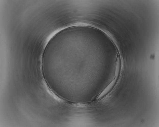 X0000115450862200911181545