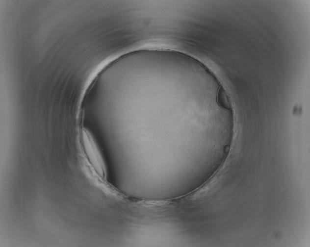 X0000115450864200911181545