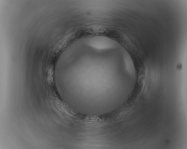 X0000115450866200911181545