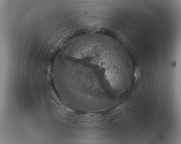 X0000115450867200911181545