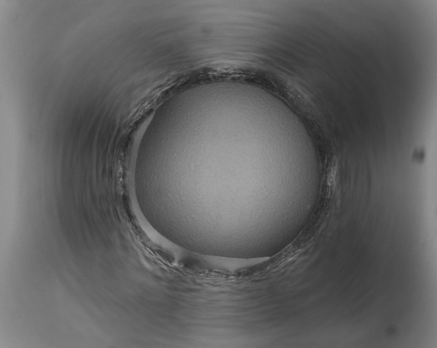 X0000115450868200911181545