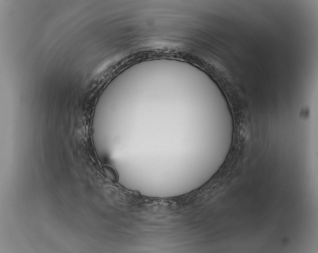 X0000115450869200911181545