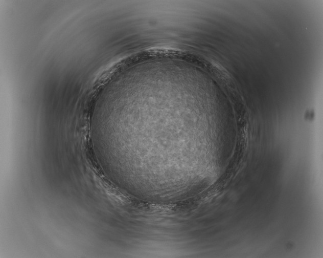 X0000115450870200911181545