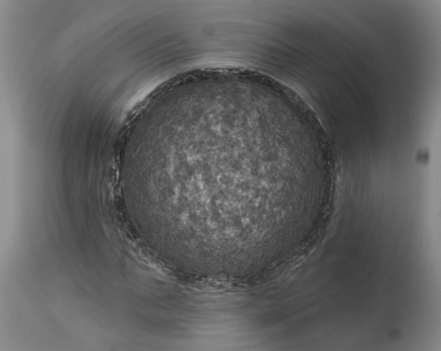 X0000115450871200911181545