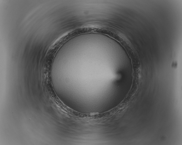 X0000115450872200911181545