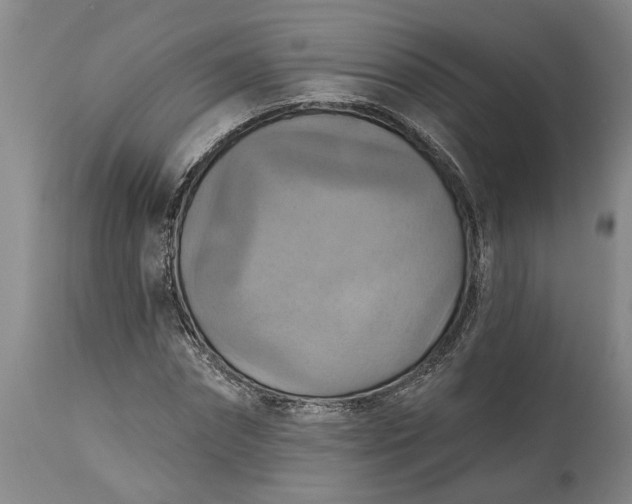 X0000115450874200911181545