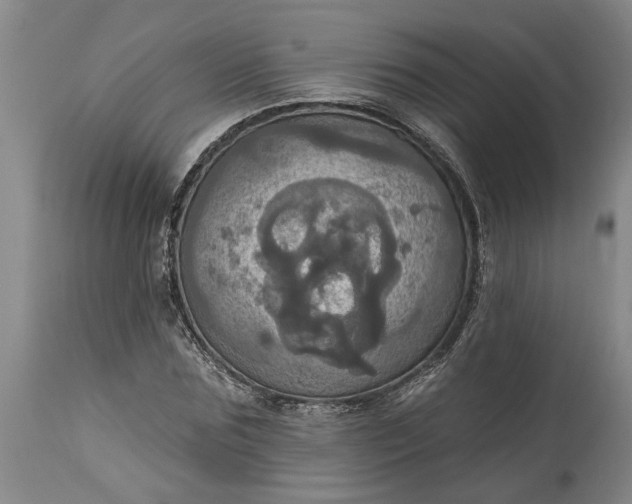 X0000115450875200911181545