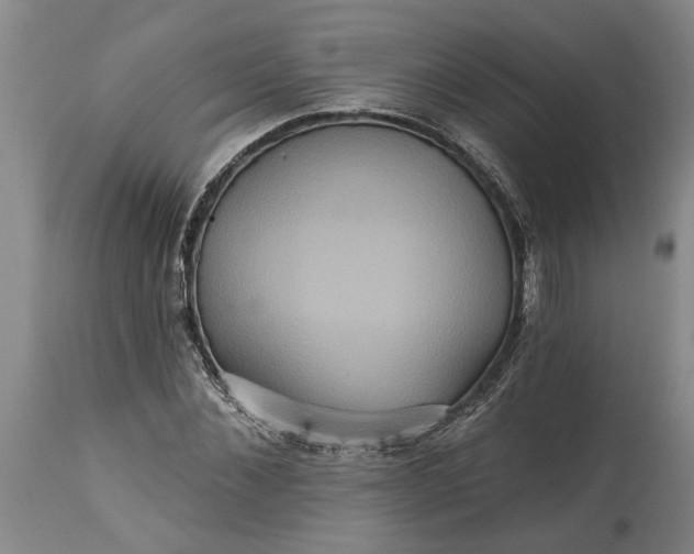 X0000115450876200911181544