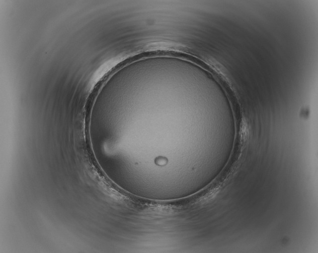 X0000115450877200911181544