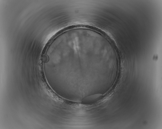 X0000115450879200911181544