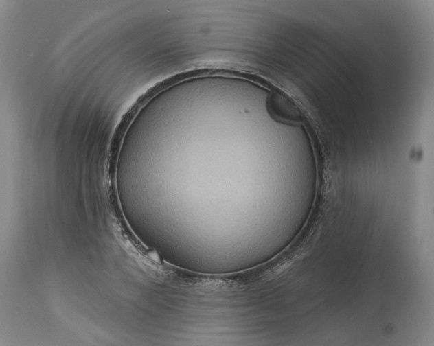 X0000115450880200911181544