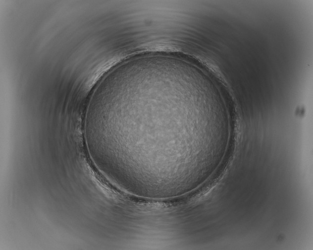 X0000115450881200911181544