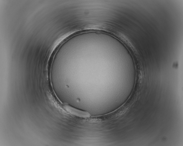 X0000115450884200911181544