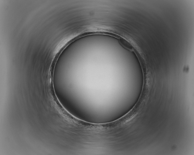 X0000115450885200911181544