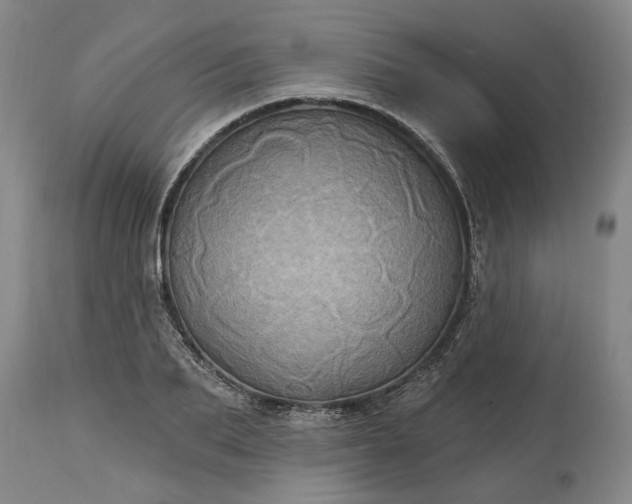 X0000115450887200911181544