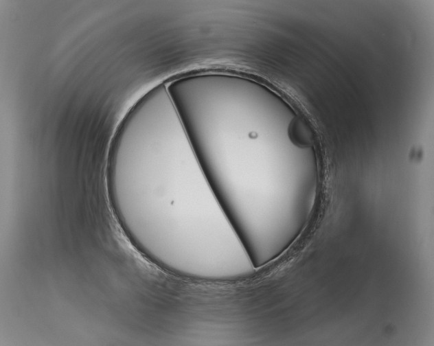 X0000115450888200911181544