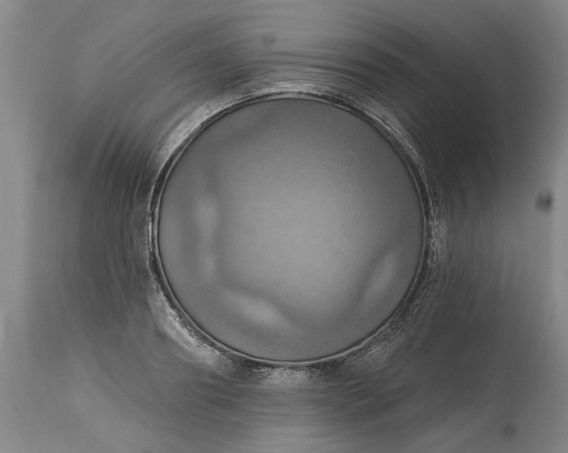 X0000115450890200911181544