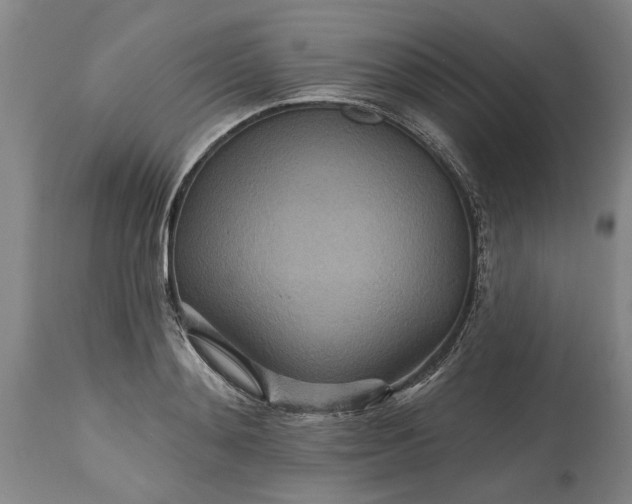 X0000115450892200911181544