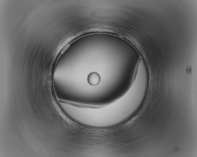 X0000115450893200911181544