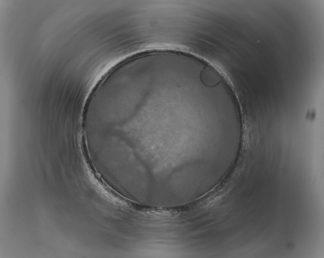 X0000115450895200911181544