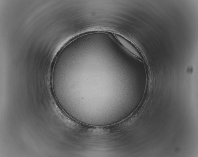 X0000115450896200911181544