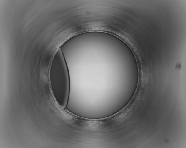 X0000115450897200911181544