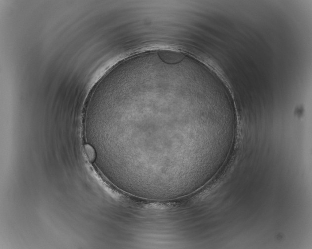 X0000115450898200911181544