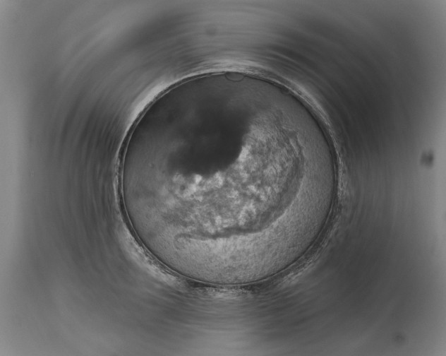 X0000115450899200911181544