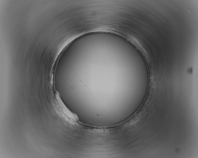 X0000115450900200911181544