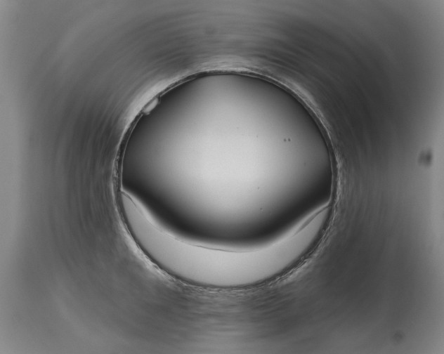 X0000115450901200911181544