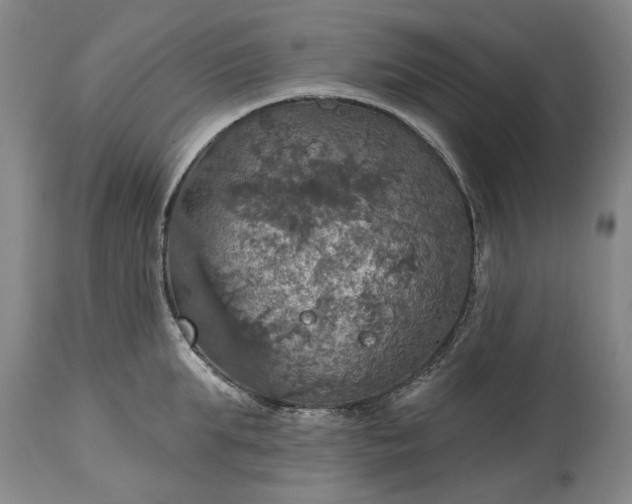 X0000115450903200911181544