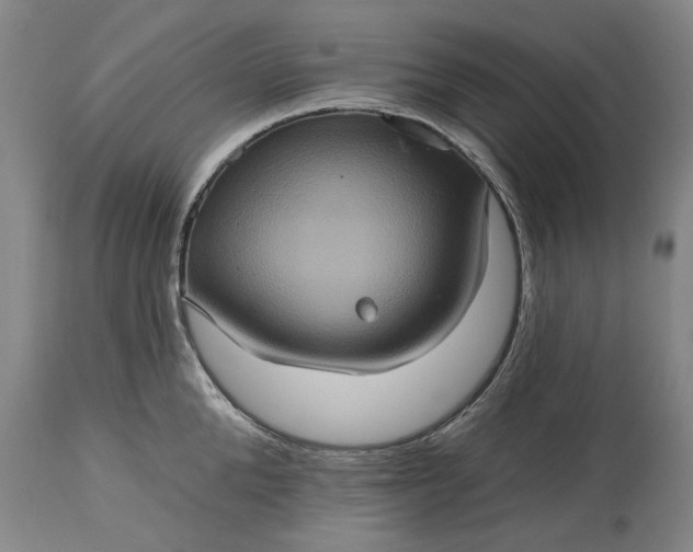 X0000115450904200911181544