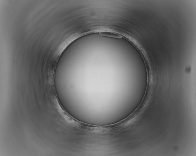 X0000115450905200911181544