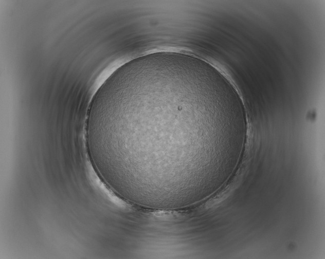 X0000115450906200911181544