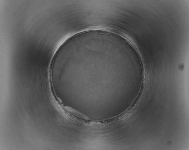 X0000115450907200911181544