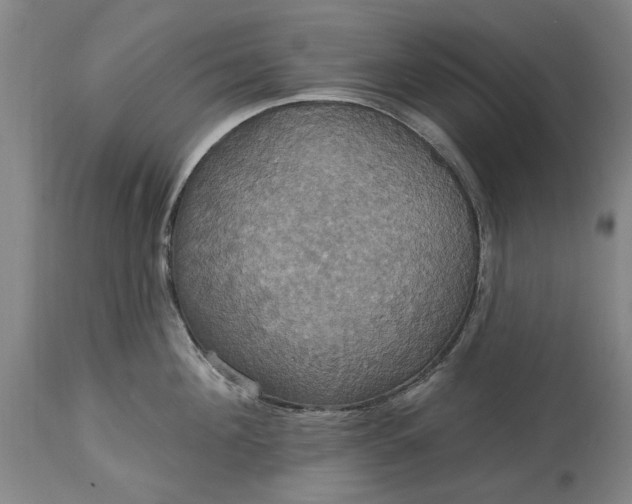 X0000115450908200911181544