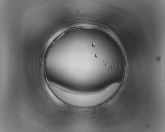 X0000115450909200911181544