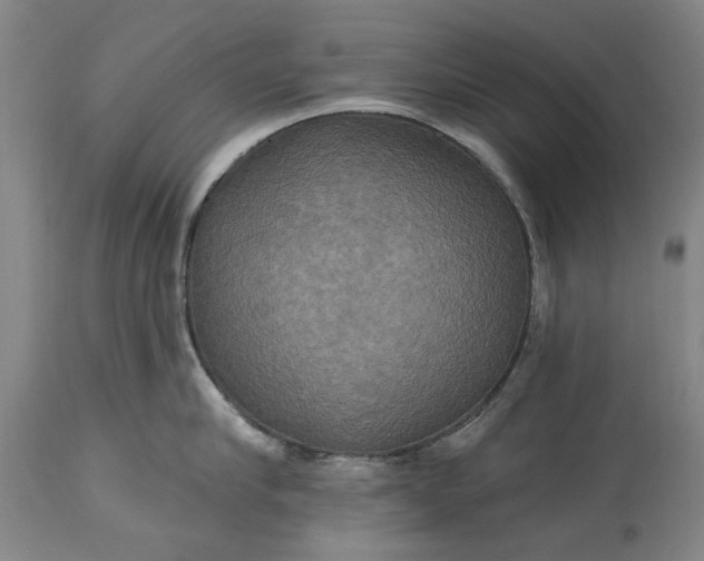 X0000115450910200911181544