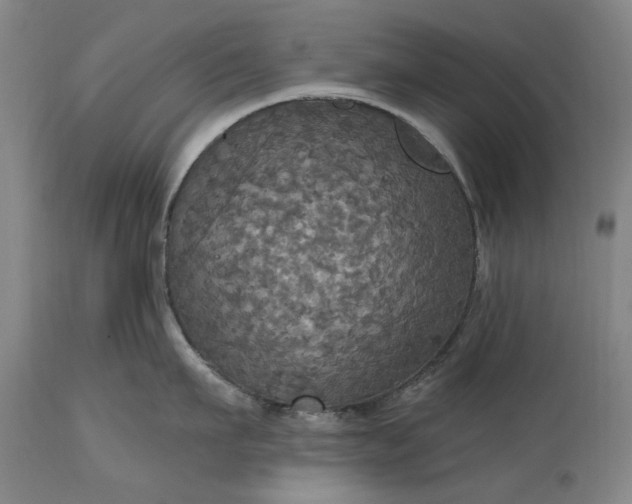 X0000115450911200911181544