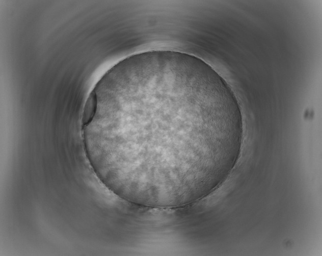 X0000115450912200911181544