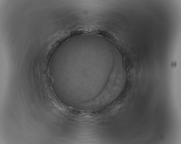 X0000115450913200911181543