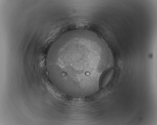 X0000115450914200911181543