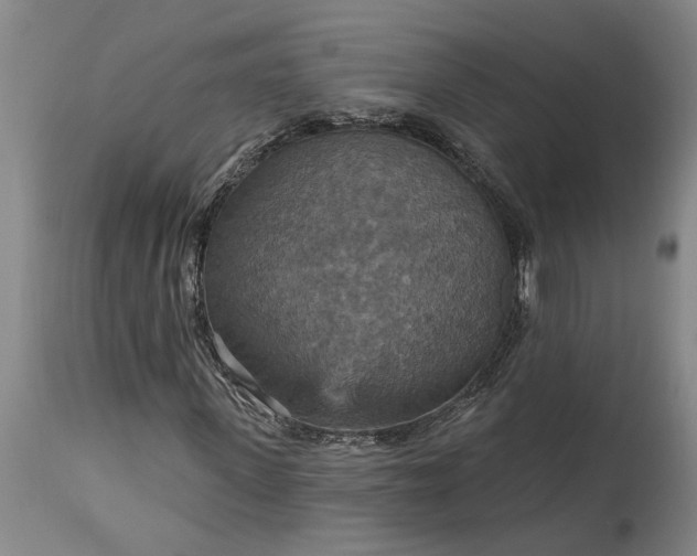 X0000115450915200911181543