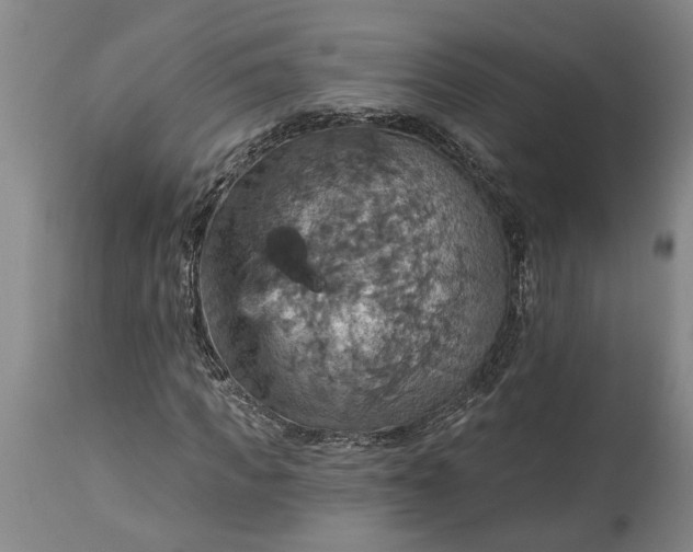 X0000115450917200911181543