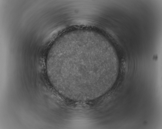 X0000115450918200911181543