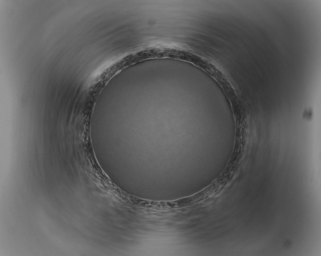 X0000115450919200911181543