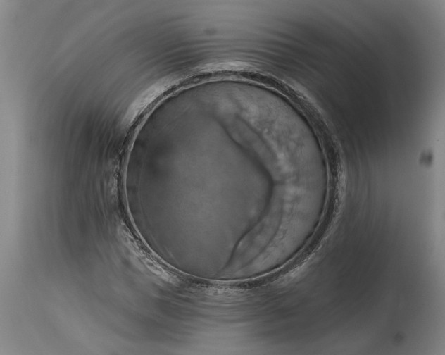 X0000115450921200911181543